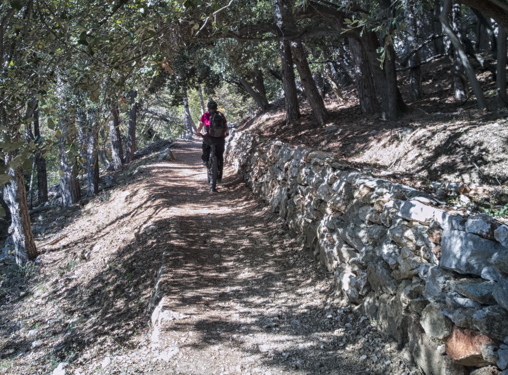 Trail KRK MTB - Sven Michalczak